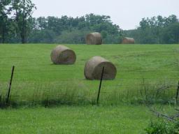 Field with hay.JPG